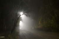 В Курске 3 января ожидается до 8 градусов тепла и туман