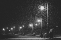 Ночью 7 февраля в Курской области ожидается до 13 градусов мороза