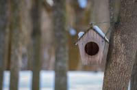 В Курской области температура воздуха ночью опустится до 18 градусов мороза