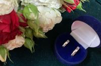 В Курской области минувшей зимой образовалось 1246 семей