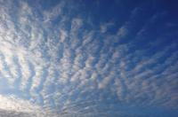 В Курске 15 марта столбик термометра поднимется до плюс 9 градусов, ночью - дождь