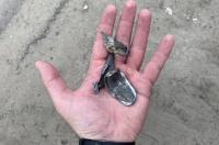 ВСУ обстреливают село Плёхово в Курской области