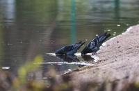 В Курской области ожидается потепление до 20 градусов и грозы