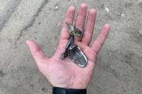 27 апреля курский губернатор сообщил об обстреле Суджанского района со стороны Украины