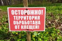 В Курской области по поводу укусов клещей обратились​ к врачам 414 человек