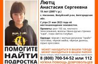 Курские волонтеры ищут пропавшую в Белгородской области 15-летнюю девушку