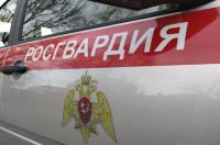 За неделю в Курской области росгвардейцы пресекли более 200 административных правонарушений