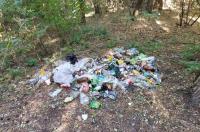 В Курской области в конце 2022 года насчитывалось 35 несанкционированных свалок
