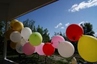 В Фатеже отменили празднование Дня молодежи из-за запрета массовых мероприятий