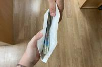 Житель Курской области пытался купить у врача за 200 тыс.рублей группу инвалидности