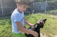 Курские зоозащитники планируют проводить уроки доброты в детсадах и школах