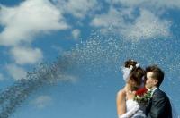 В Курской области за 8 месяцев зарегистрировано 4544 браков