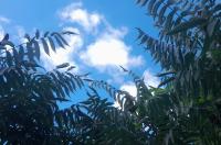 9 сентября в Курской области ожидается 19 градусов