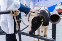 В Курском ГАУ после ремонта открылась ветеринарная клиника