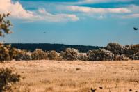 11 сентября в Курской области ожидается 23 градуса тепла