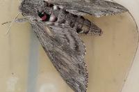 В Курске 11 сентября днём будет около 20 градусов тепла