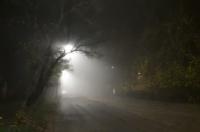 В Курской области 17 сентября ожидается до 24 градусов тепла