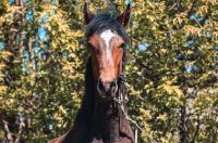 21 сентября в Курской области ожидается 27 градусов тепла