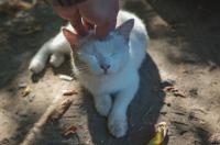 В субботу в Курской области ожидается до 27 градусов тепла