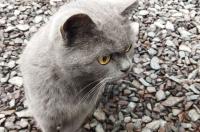 Проект «ДРУГой Курск» победил на конкурсе грантов Росмолодежи