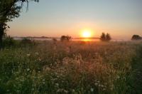 В «Национальном экологическом рейтинге» Курская область остаётся на 4 месте