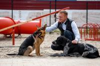 Курский губернатор привез корм в приют «Право жить»