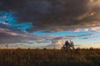 6 октября в Курской области ожидается до 16 градусов тепла