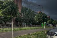 7 октября в Курской области ожидаются дожди и сильный ветер