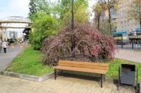 В Курске пройдёт творческая встреча с поэтессой Евгенией Подчасовой