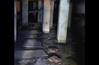 Куряне пожаловались с улицы Орловской пожаловались на затопленный подвал