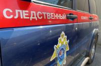 Курский СК проводит проверку по случаям нападения бездомных собак на детей