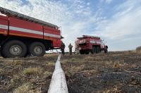 В Курской области в январе произошло 4 случая горения сухой травы