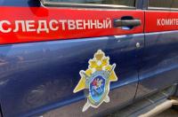 В Курске следователи возбудили уголовное дело из-за нападений бездомных собак на детей
