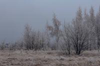 В Курской области освободили Свердликово