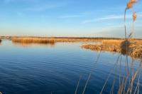 В 2026 году начнется реконструкция Курского водохранилища