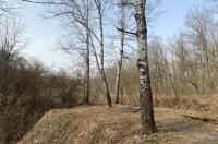С 14 апреля в Курске проходит экологический фестиваль