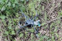 Дроны атаковали ремонтную бригаду в Глушковском районе