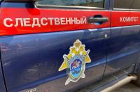 В Курской области СК проверит, как многодетная мать обращается со своими детьми