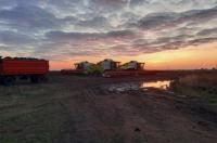 Курская область завершила посевную кампанию