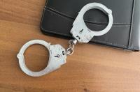 В Москву этапировали еще двух фигурантов по делу о хищениях в Курской области
