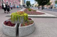 В Курске проект реконструкции пешеходной части улицы Ленина, обошедшийся бюджету в 14 млн, не прошёл госэкспертизу