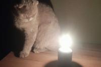 В  трёх округах Курска на следующей неделе планово отключат электричество
