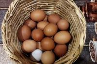 В Курске 18 октября пройдёт второй этап ярмарки «Осень»