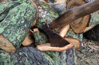 В Белгородской области дрова будут предоставляться в случае ЧП и не всем