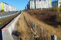 Мэр Маслов:«Тротуар на проспекте Плевицкой в отвратительном состоянии»