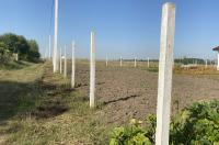 Курская прокуратура оспорила продажу земельного участка за нарушения