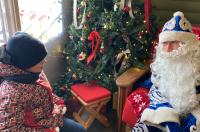 В Курске установят две приемных Деда Мороза