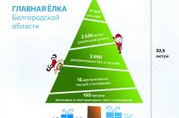 Новогодние украшения на Соборной площади в Белгороде смонтируют к 20 декабря