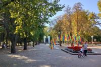 Парк «Бородино» в Курске нарядят к Новому году по просьбе юной курянки