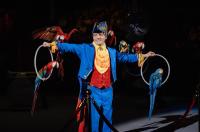 Около 12 тысяч детей и взрослых увидят благотворительное шоу в курском цирке